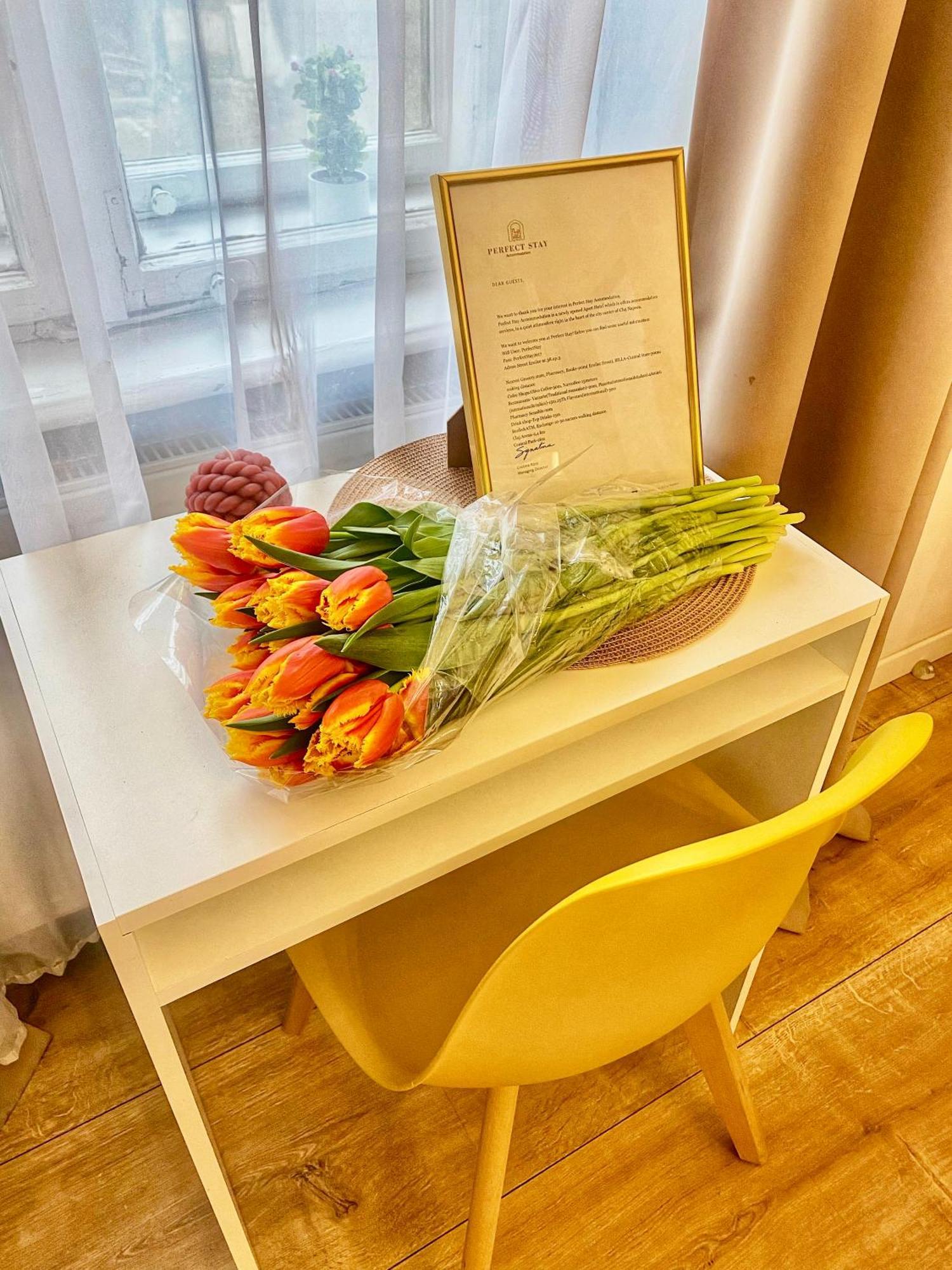 Perfect Stay Cluj-Napoca Exterior photo